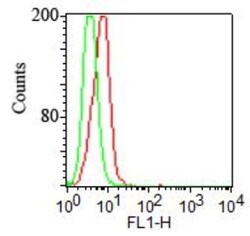 TLR2 Antibody (67N8F8) - Azide Free, Novus Biologicals:Antibodies:Primary